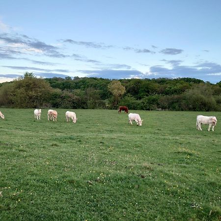 Chambre D'Hotes Juste-Confortable Fleurey-les-Lavoncourt Luaran gambar