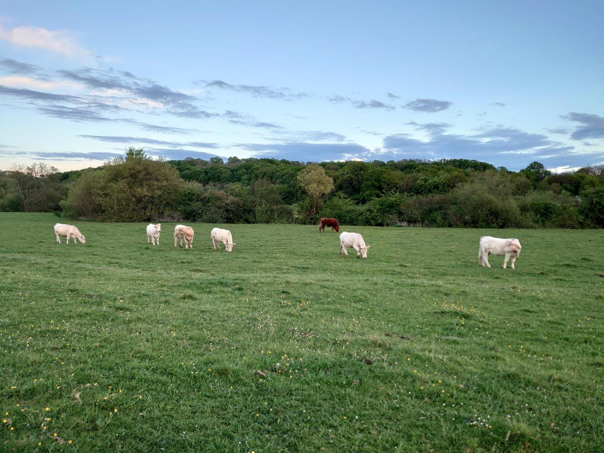 Chambre D'Hotes Juste-Confortable Fleurey-les-Lavoncourt Luaran gambar